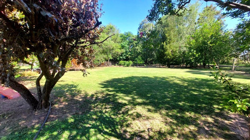 Imagen 18 de 22 de Excelente Quinta Con Pileta Y Gran Parque A La Venta En Abbott - Monte