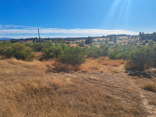 Terreno De 50.000 Mt2 / Cauquenes, Región Del Maule.