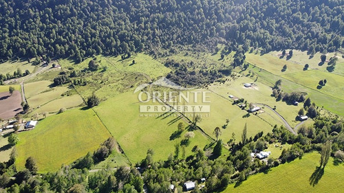 Vive En Un Paraíso Natural En Malalcahuello