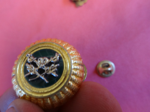 2 Militaria Pin Antiguo Escudo Gendarmeria Nacional Metal (Usado)