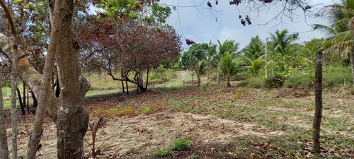 Vendo Ou Troco Citio Com Casa 2/4 Sala Conzinha E Banheiro