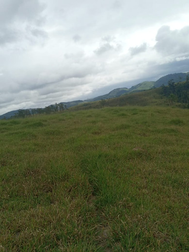 Imagem 6 de 18 de C05 Terrenos A Venda Venha Investir Para Você E Sua Família!