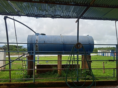 Imagen 15 de 25 de Finca Venta Lara Acarigua En Venta (gamelotal) De 251 Hectareas