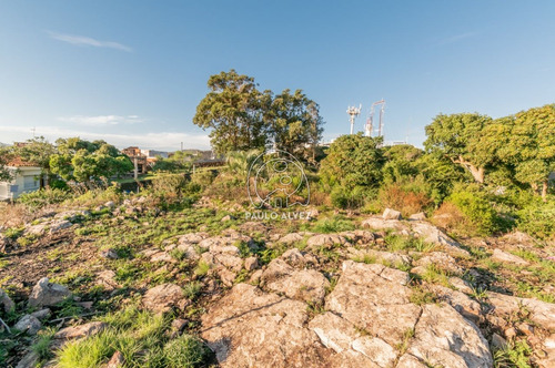 Imagen 12 de 14 de Terrenos Venta Piriápolis