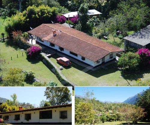 Imagen 3 de 12 de Casa En Venta