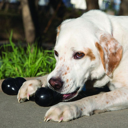 Imagen 4 de 10 de Kong Extreme Goodie Bone Medium Juguete Perro Forma De Hueso