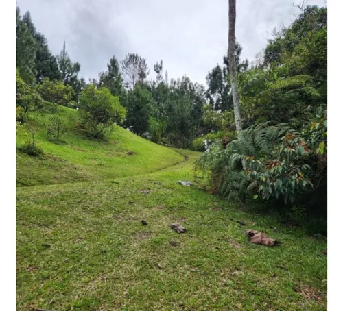Rhbr-14708 (lote) (el Retiro)