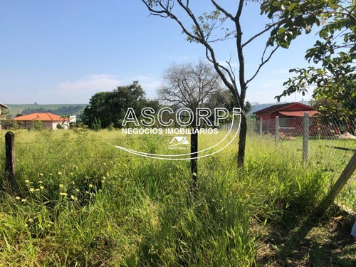 Imagem 8 de 8 de Ótima Chácara Em São Pedro. (código Ch00056) - Ch00056 - 70715263