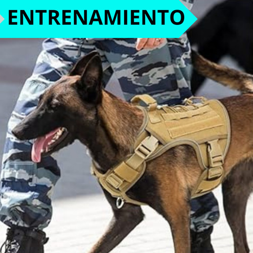 Arnes Para Perro- Pechera Pretal Antitirones Reforzado Dorado Oscuro L Cazador Ii