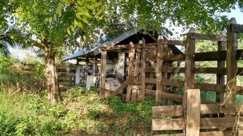 Rancho Agrícola Y Ganadero En Champotón Campeche. 50 Hectareas De Pastizales.