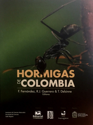 Hormigas De Colombia