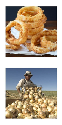 Sementes De Cebola Gigante Walla Walla - A Dos Onion Rings!