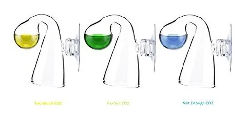 Co2 Drop Checker Con La Solución 4dkh Drop Checker | Nilocg