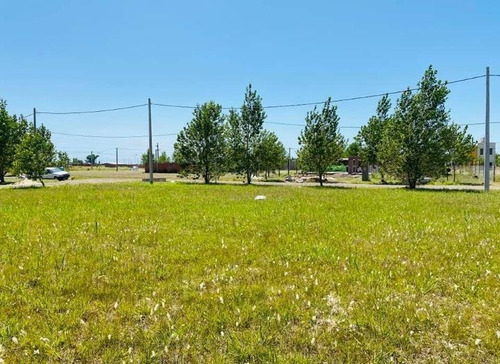 Imagen 3 de 4 de Venta Terreno - San Lorenzo