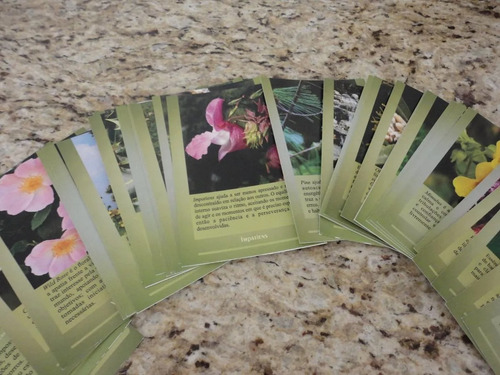 Florais De Bach - Conjunto 40 Cartas Cartões Para Consulta