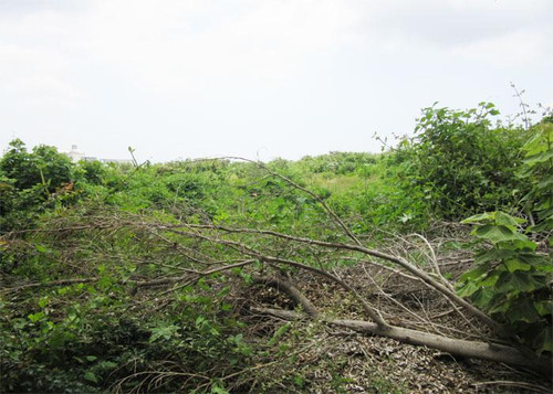 Terreno - Venta, Uso Escolar, Ahuatlán, Cuernavaca