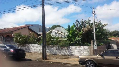 Imagem 5 de 6 de Terreno À Venda, Parque São Paulo - Cascavel/pr - 11527