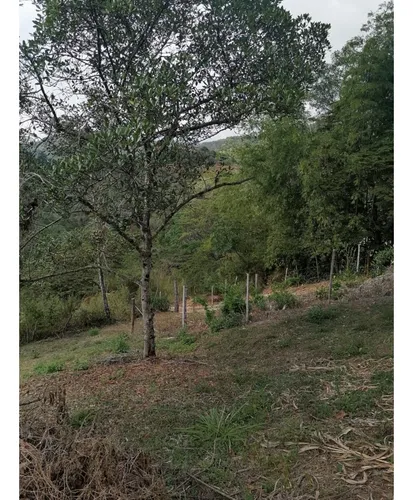 Venta Lote Campestre De 2.000 Mts2, Vereda Los Andes, Cali. 12955-1.