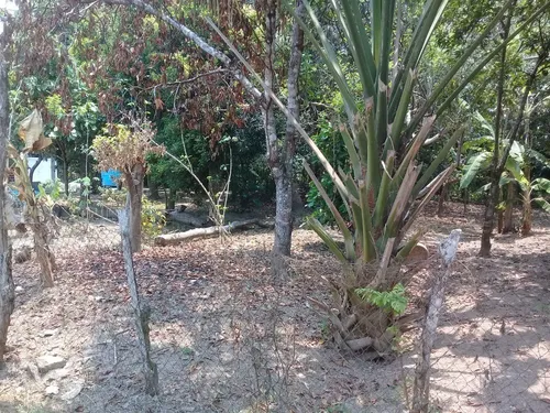 2 Casas, Calle Privada, Terreno 1,250 M2, 72 Y 36 M2 Centro