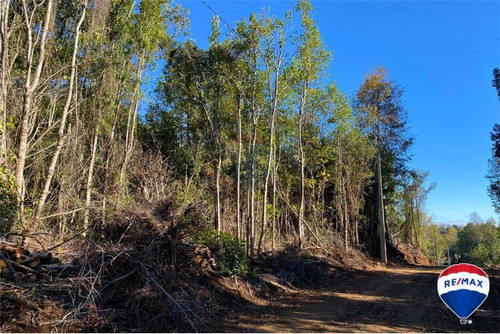 Se Vende Parcela Con Bosque - Villarrica Chile