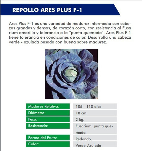 Semilla De Repollo Ares Plus F-1 Híbrido (calor) 1000 Sem.