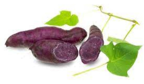 12 Mudads De Batata Doce Polpa Roxa Okinawa