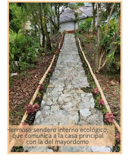 Vendo Finca De 18 Cuadras Para Ganado Y Cerdos A 15 Minutos D Fredonia