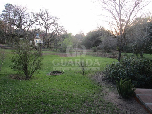 Imagem 15 de 15 de Sitio - Sitios - Ref: 98116 - V-98116