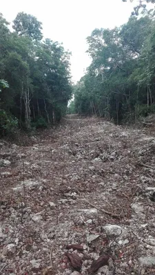 Terreno en venta