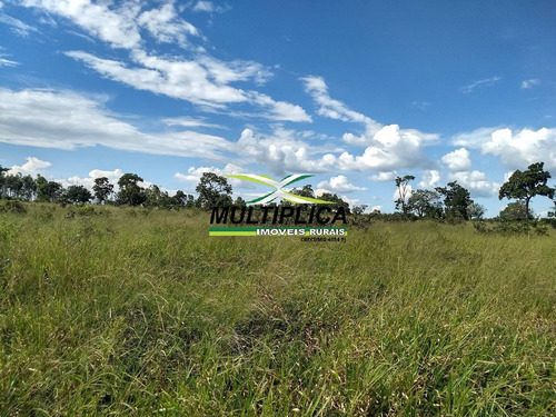 Oportunidade Chácara À Venda Uberlândia 20.000 M² Por R$ 130.000, Financia - 394