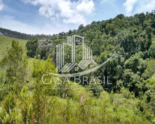 Imagem 10 de 30 de Sítio 35 Alqueires À Venda - Sao Jose Dos Campos - Sp - 393