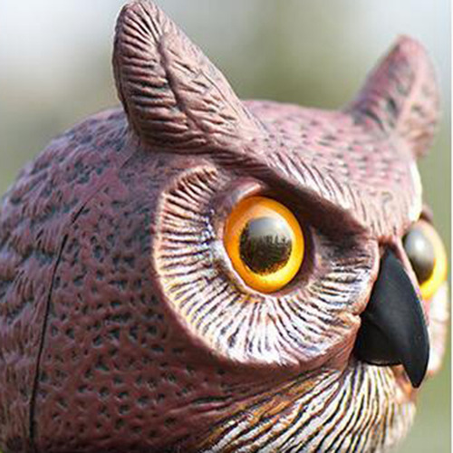 Pájaro Realista Espantapájaros Búho Falso Señuelo