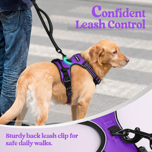 Arnés Para Perro Rabbitgoo No Tirar Ajustable Con 2 Clips L