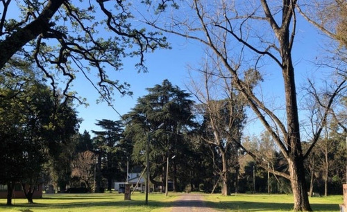 Terreno En La Reja 