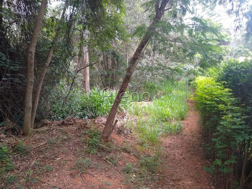 Imagem 12 de 15 de Terreno À Venda Em Joaquim Egídio - Te028079