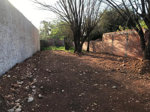 Imagen 7 de 8 de Terreno - Santo Tome