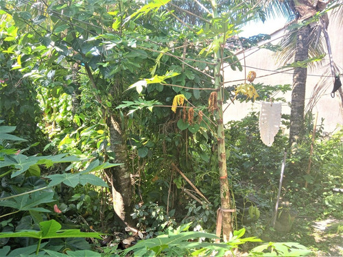 Imagem 10 de 19 de Casa Com Horta Na Praia De Itanhaém