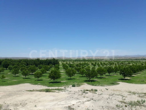 Rancho En Venta En Coyame Chihuahua