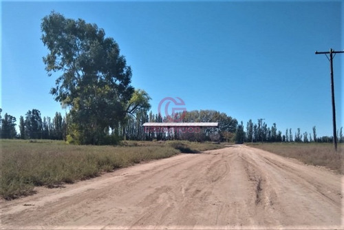 Imagen 1 de 9 de Greenwood Alquila Finca Productiva De 88ha Con Agua De Pozo Y Derecho De Riego
