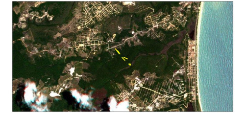 Imagem 10 de 11 de Últimos Lotes Próximos Ao Novo Aeroporto De Porto Seguro