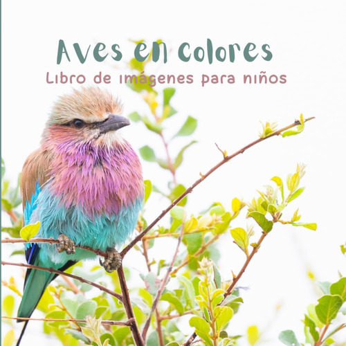Aves En Colores: Libro De Imágenes Para Niños 61yew