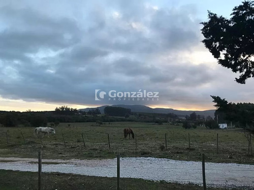 Casa En Nueva Carrara