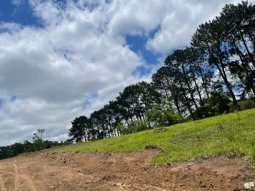 Imagem 19 de 24 de M01- Oportunidade De Ter Sua Casa No Campo