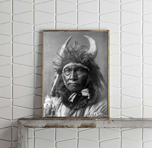 Infinitas Fotografías Foto: Bull Chief | Apsaroke | 6 De Jul