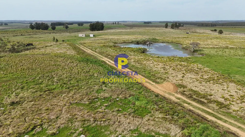 5 Hectáreas En Canelones, Zona De Noya