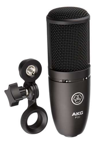 Akg Perception P120 Micrófono De Estudio Profesional, Platea