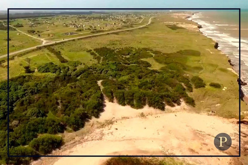 Imagen 4 de 6 de Venta 25 Hectareas Ubicada En Las Brusquitas Sobre La Linea De Mar