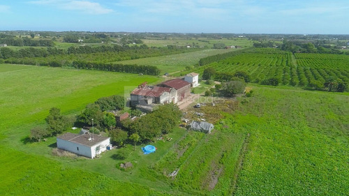 Imagen 15 de 21 de Venta Campo 11 Has Rincon Del Cerro Montevideo