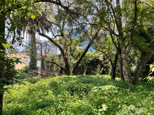 Imagen 6 de 10 de Excelente Terreno En Las Águilas