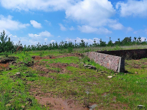 Terreno En Venta En Amealco